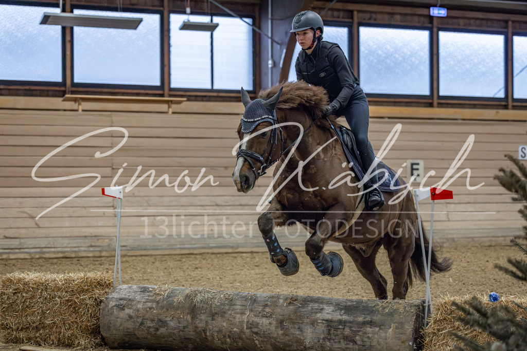 20260221-_3LI8416 | Tierfotografie Pferde, Hunde, Katzen, Haustiere.
Turnierfotografie Reitturniere, Reiten, Springreiten, Dressur in Hanau, dem Main-Kinzig-Kreis und dem Rhein-Main- Gebiet um Frankfurt