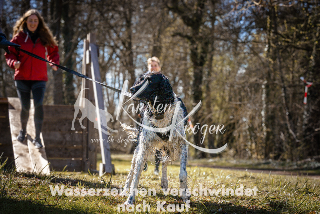 0959_ZZ96981 | kk-dogfotos