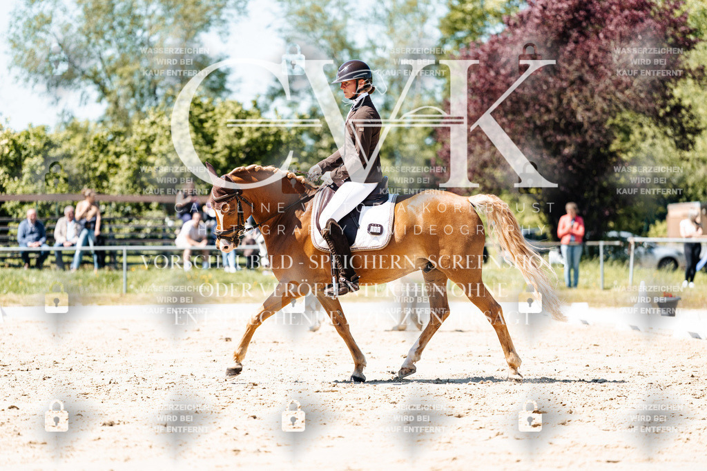 CK905520 | Turnierfotografie Pferdefotografie Trier Rheinland-Pfalz Pferdesport Reitsport Tierfotografie Sportfotografie Pferdevideo Pferdevideografie Equestrianvideography equestrianphotography  - Realisiert mit Pictrs.com