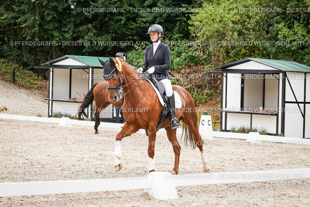 DSC04793 | Pferdegrafie