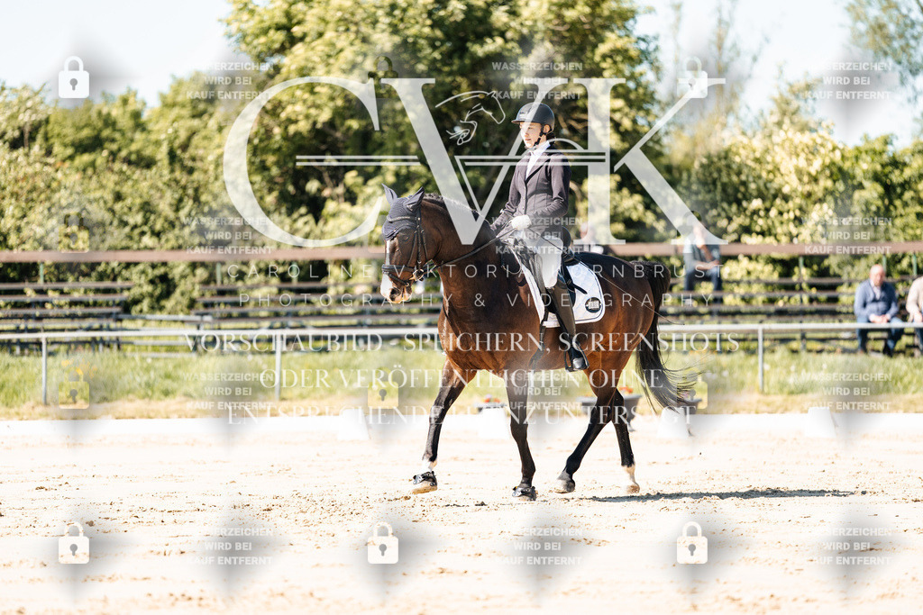 CK905016 | Turnierfotografie Pferdefotografie Trier Rheinland-Pfalz Pferdesport Reitsport Tierfotografie Sportfotografie Pferdevideo Pferdevideografie Equestrianvideography equestrianphotography  - Realisiert mit Pictrs.com