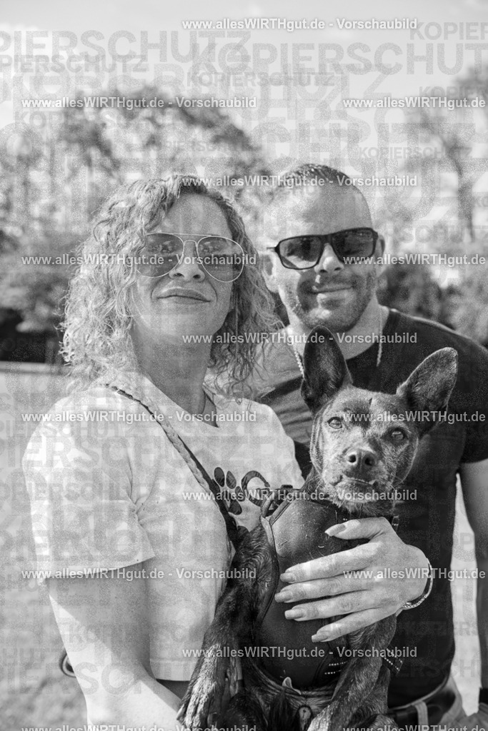 Hundeschwimmen_Volksbad_2026-allesWIRTHgut_Tierfotografie-2609061529-7R501571 | Professionelle Tierfotografie in Mönchengladbach von Daniel Wirth (allesWIRTHgut). Liebevolle & natürliche Bilder von Hunden & Katzen für unvergessliche Erinnerungen.