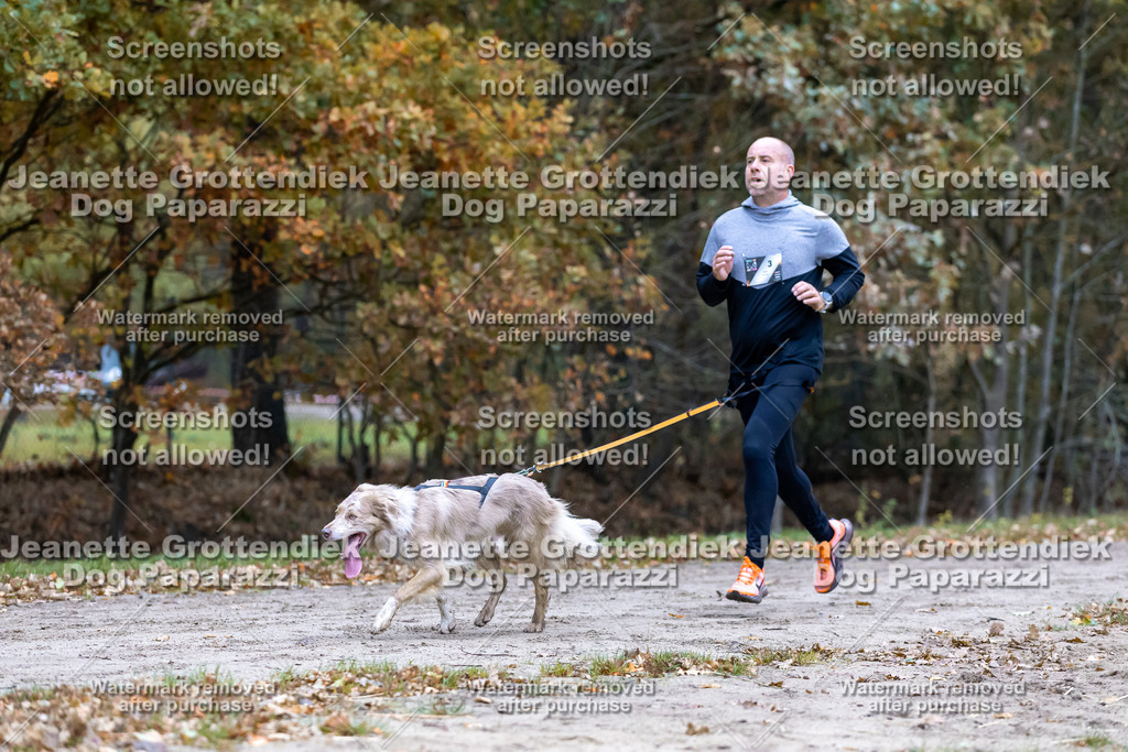 Dog Paparazzi - SD CaniX Championship 2025-94 | Dog Paparazzi Jeanette Grottendiek Fotografie & Videografie - Realisiert mit Pictrs.com