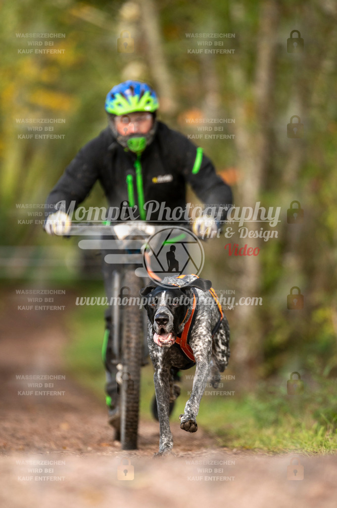 TSB_2023_E4_DS1-13 | PayLife