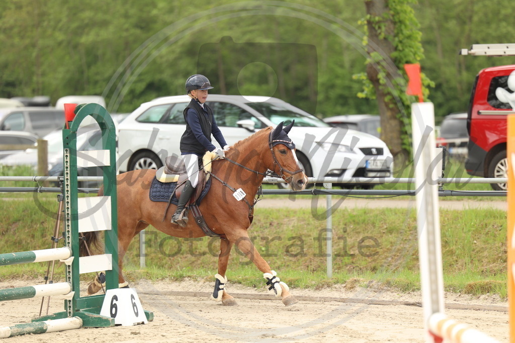 994A8857 | sabrinanicolaifotografie - Realisiert mit Pictrs.com