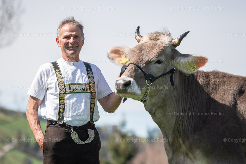 Schwingen -  Lebendpreise Schwägalp 2025 | Schwägalp, 19.4.25, Schwingen - Lebendpreise Schwägalp.
