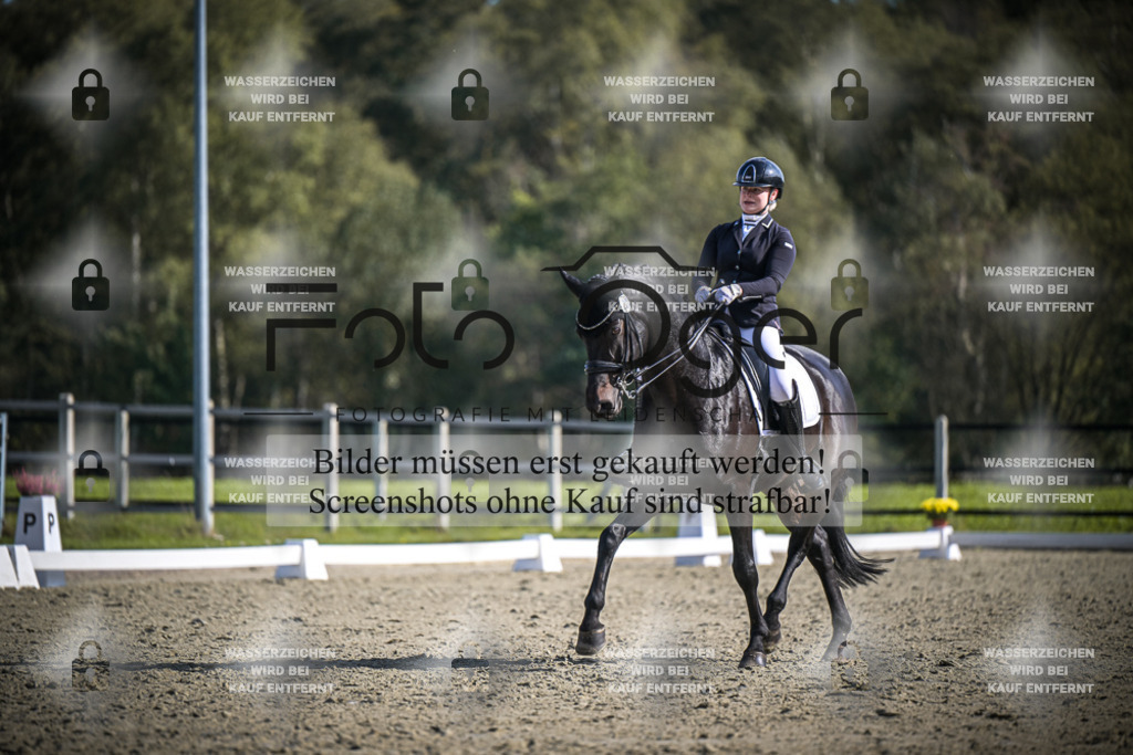 DOS_1277 | Entdecke hochwertige Reitturnierfotos von Foto Oger. Professionell, emotional und authentisch – jetzt Lieblingsmomente im Shop bestellen.Deutschlandweite Turnierfotografie. - Realisiert mit Pictrs.com