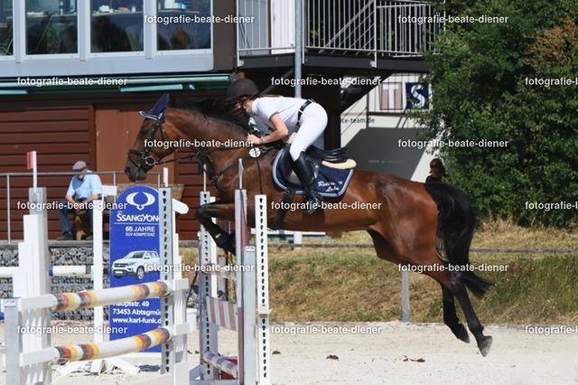 Zeit L (18) | Fotografie, Tiere, Hunde, Katzen, Pferde, Sportfotografie, Fotosession, Tierfotografie, Turnierfotografie, Fotografin, Fotograf - Realisiert mit Pictrs.com