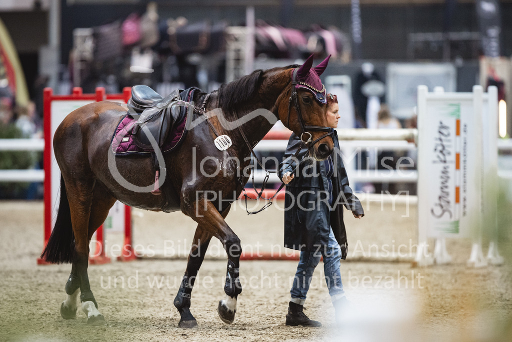 231028_Oldenburg_S1-Spr_Amateure-101 | Deine schönsten Turniermomente als professionelle Fotos! Entdecke hochwertige Pferdesport-Fotografie im Online-Shop. Jetzt Fotos finden & bestellen!