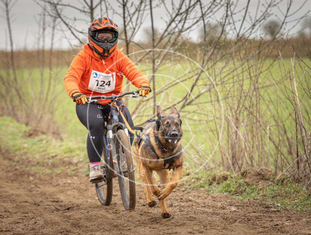 DV3A1047 | Hundefotografie, Tierfotograf, Pfotenfotografie, Fotoshooting Hund, Hunde Portrait, Hundesport, Hundeportraits, Heideshooting, Hunde, Sportfotograf, Hundefotograf, Turnierhundsport, THS,  - Realisiert mit Pictrs.com