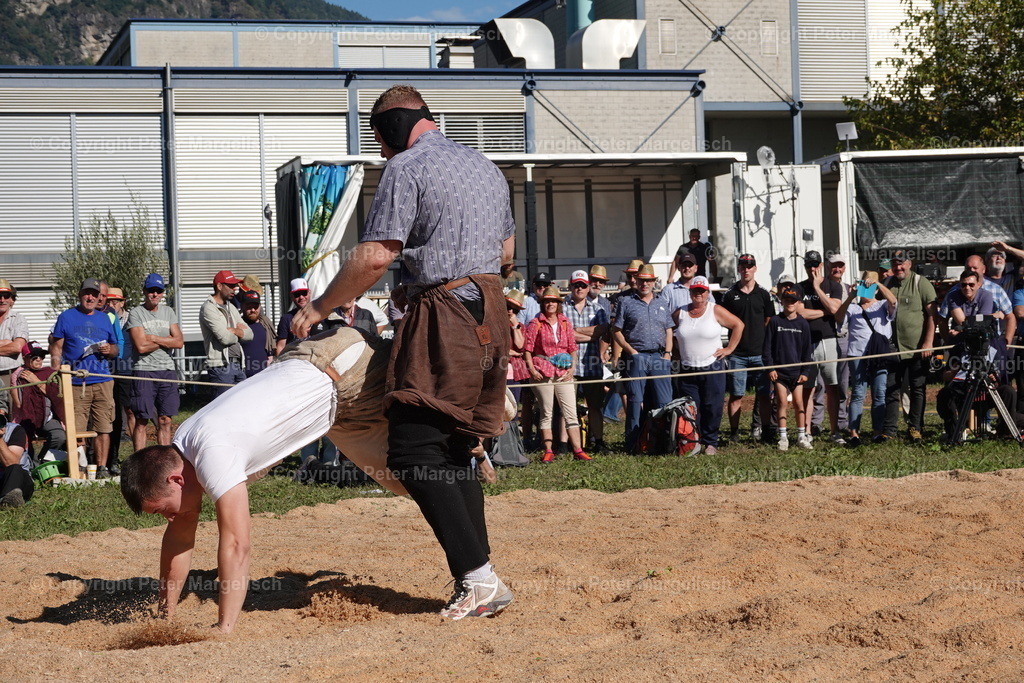 DSC01629 | Schwingen - Realisiert mit Pictrs.com