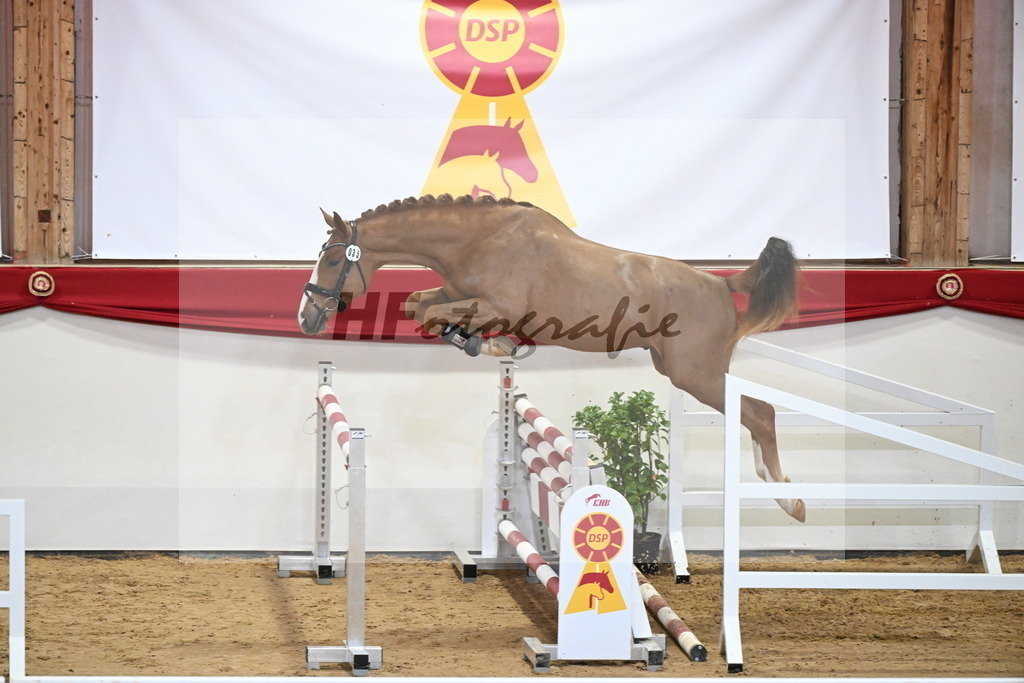 Kat.-Nr. 35 v. Ogano Sitte_Hannöver_2251259 | hf-fotografie - Realizzato con Pictrs.com