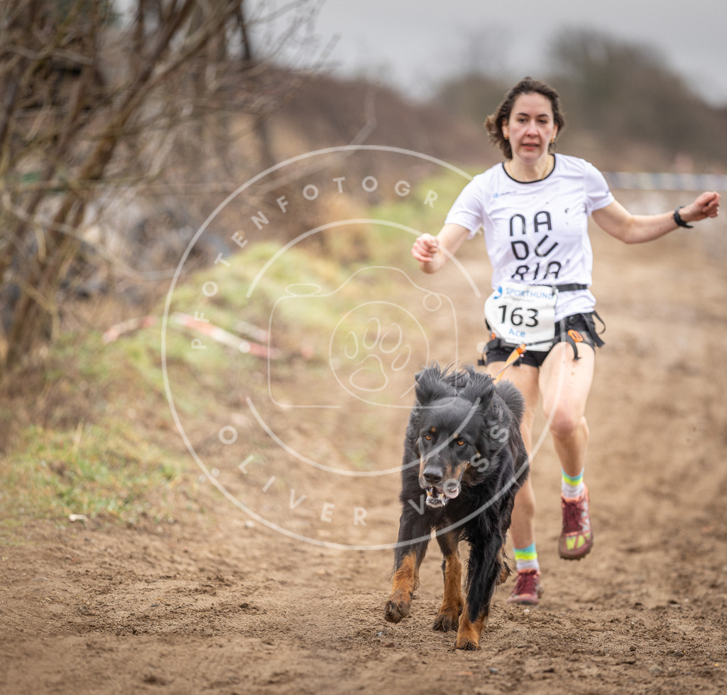 DV3A9618 | Hundefotografie, Tierfotograf, Pfotenfotografie, Fotoshooting Hund, Hunde Portrait, Hundesport, Hundeportraits, Heideshooting, Hunde, Sportfotograf, Hundefotograf, Turnierhundsport, THS,  - Realisiert mit Pictrs.com