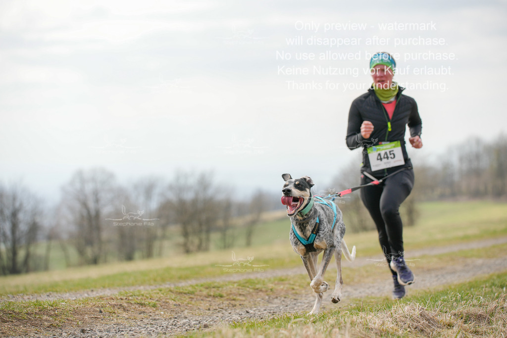 CaniXRunSA-219 | stephaniefillaphotographie - Realisiert mit Pictrs.com