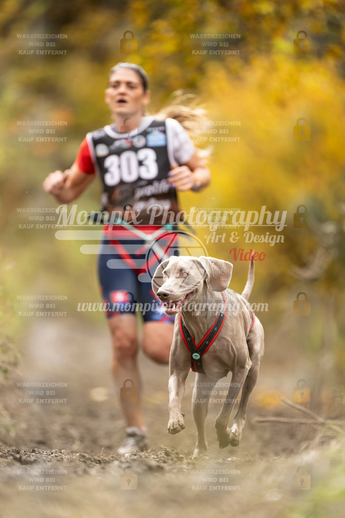 MompixPhotography_ICF_WC_2024_SA_Run_-161 | PayLife