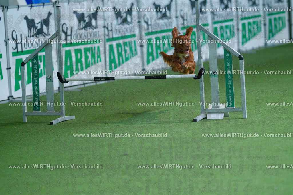 @allesWIRTHgut_Tierfotografie - www.allesWIRTHgut.de - 2604251446-7R505472 | Professionelle Tierfotografie in Mönchengladbach von Daniel Wirth (allesWIRTHgut). Liebevolle & natürliche Bilder von Hunden & Katzen für unvergessliche Erinnerungen.