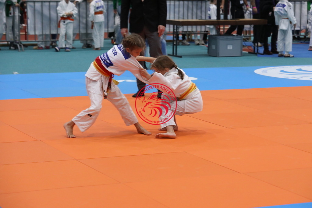 1J7A2995 | Fotos vom Adler Cup - Pictures from Adler Cup

Hier findet Ihr alle Eindrücke und großen Momente der Adler Cup Wochenenden. Here you will find all impressions and great moments of the Adler Cup weekends. - Realisiert mit Pictrs.com