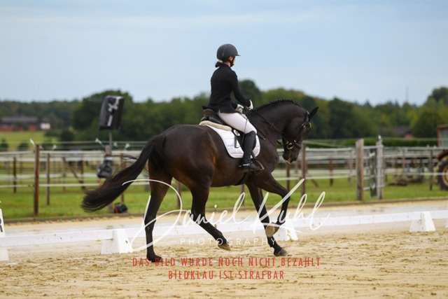 DKP43584 | Turniersportfotografie; Pferdefotografie; Dressurfotografie