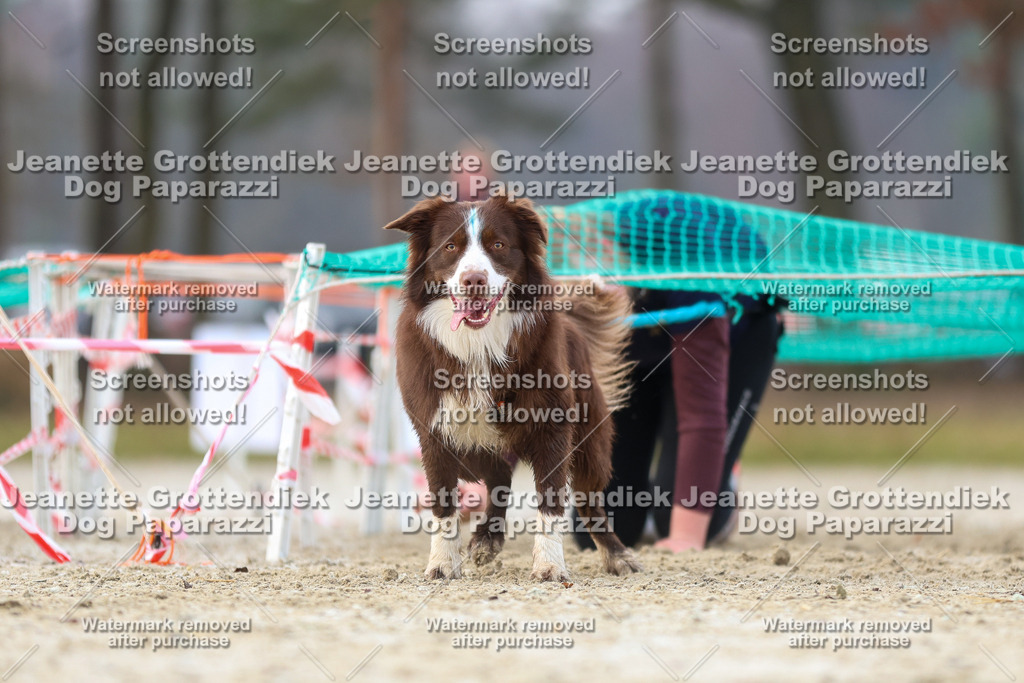 Dog Paparazzi - Strongdog North Mrz26-4002 | Dog Paparazzi Jeanette Grottendiek Fotografie & Videografie - Realisiert mit Pictrs.com