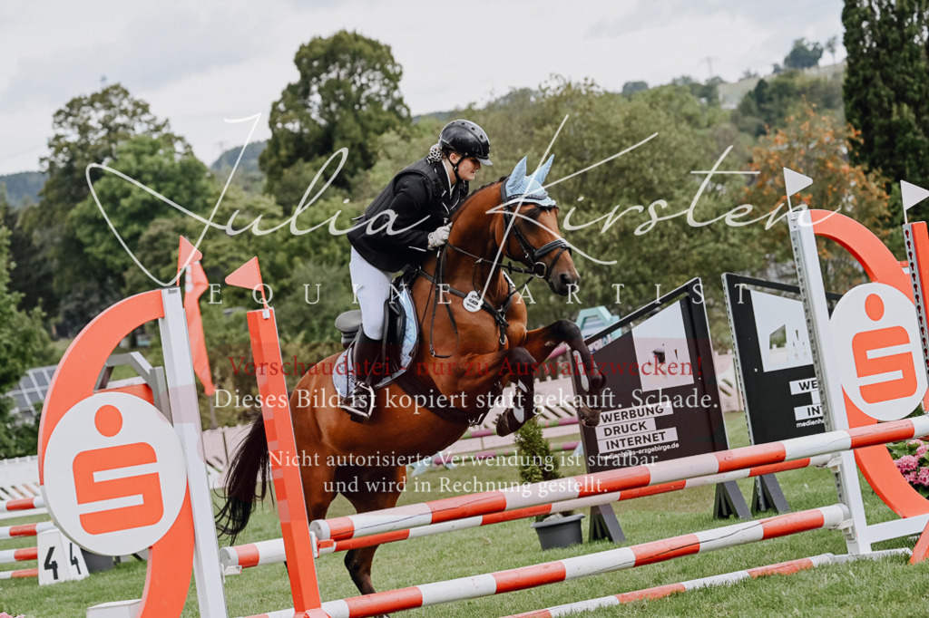 DSC_6831 | Pferde- und Turnierfotografie in Westsachsen. Pferdeportraits, Auftragszeichnungen und intuitive Kunst.