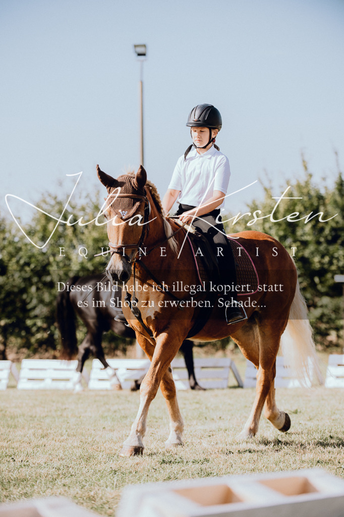 DSC_6863 | Pferde- und Turnierfotografie in Westsachsen. Pferdeportraits, Auftragszeichnungen und intuitive Kunst.