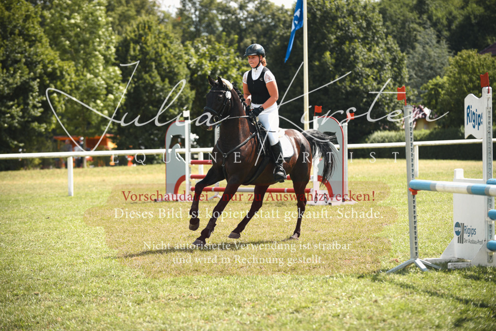 DSC_6644 | Pferde- und Turnierfotografie in Westsachsen. Pferdeportraits, Auftragszeichnungen und intuitive Kunst.