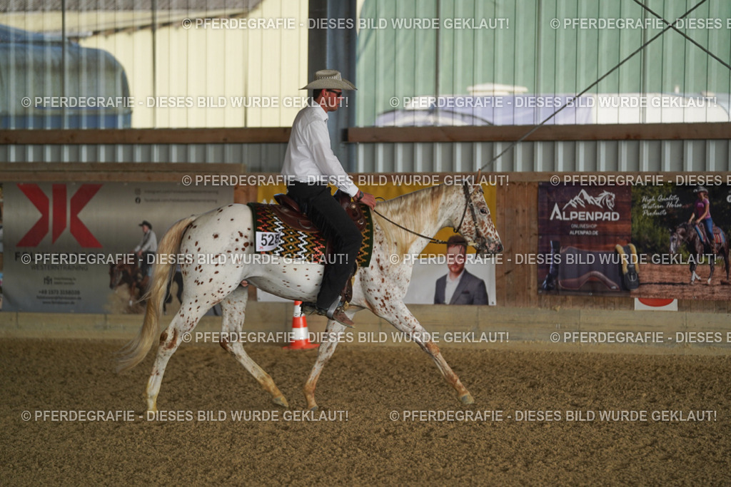 DSC07966 | Pferdegrafie