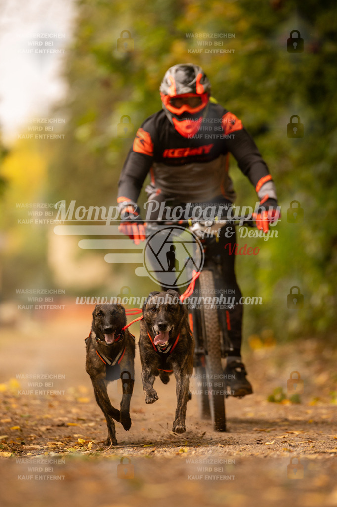CDLBDB_14_10_2023_Samedi-191 | PayLife