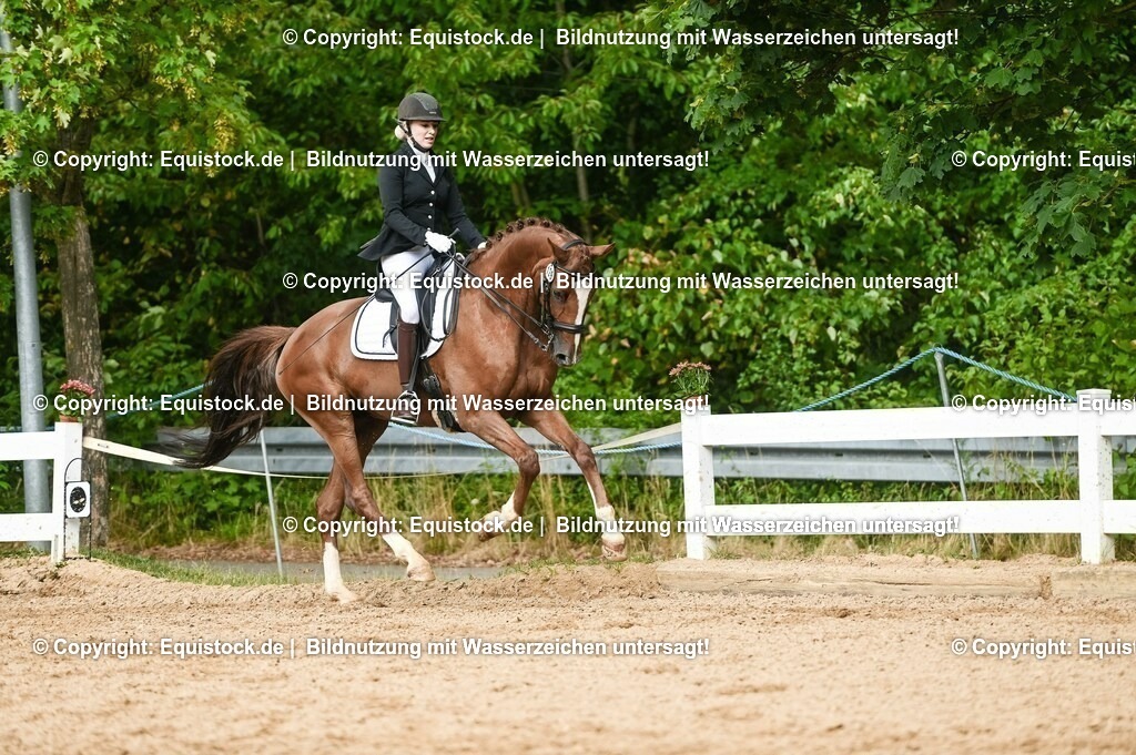 20230716_01_Dressurprüfung Kl.M_0544 | equistock