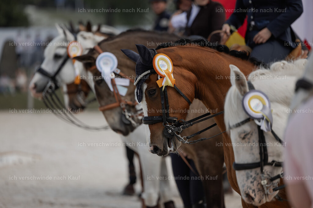 WE_SP_Stoib_Siegerehrung_PI2025_2169 | Pferd International München 2025