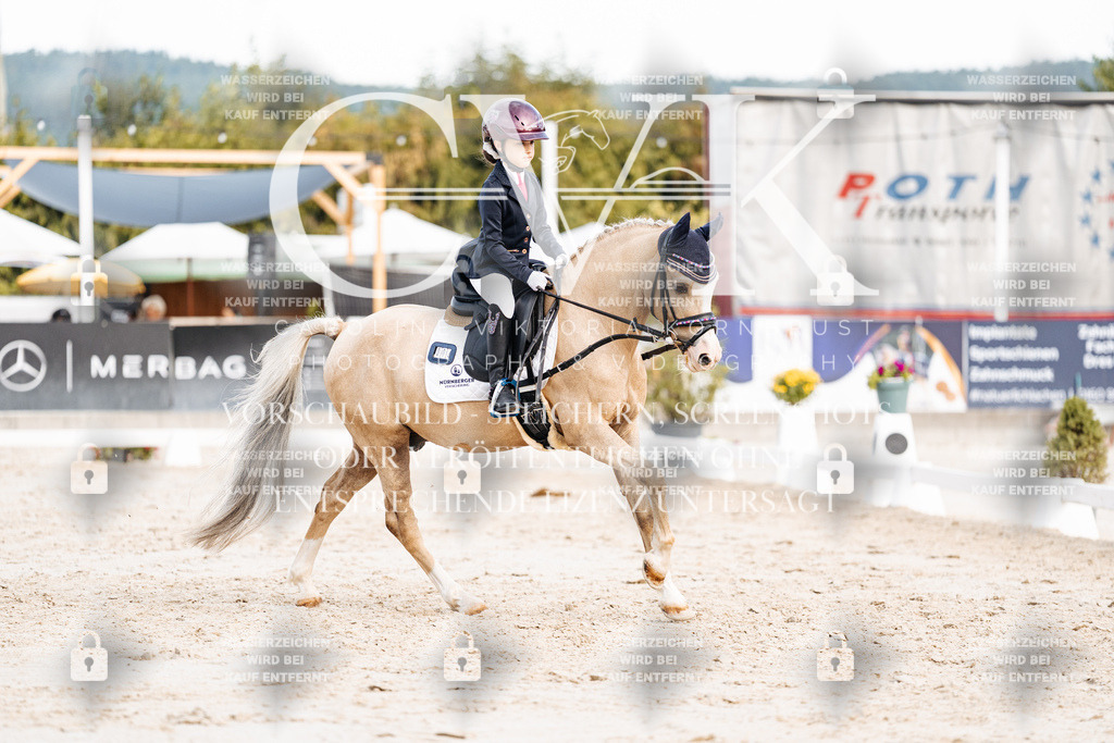 CK904684 | Turnierfotografie Pferdefotografie Trier Rheinland-Pfalz Pferdesport Reitsport Tierfotografie Sportfotografie Pferdevideo Pferdevideografie Equestrianvideography equestrianphotography  - Realisiert mit Pictrs.com