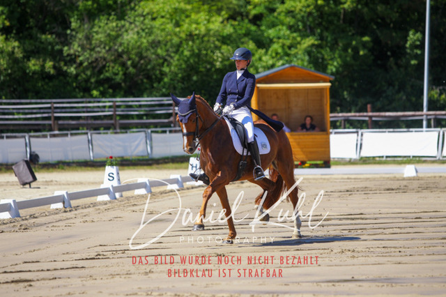 DKP42290 | Turniersportfotografie; Pferdefotografie; Dressurfotografie