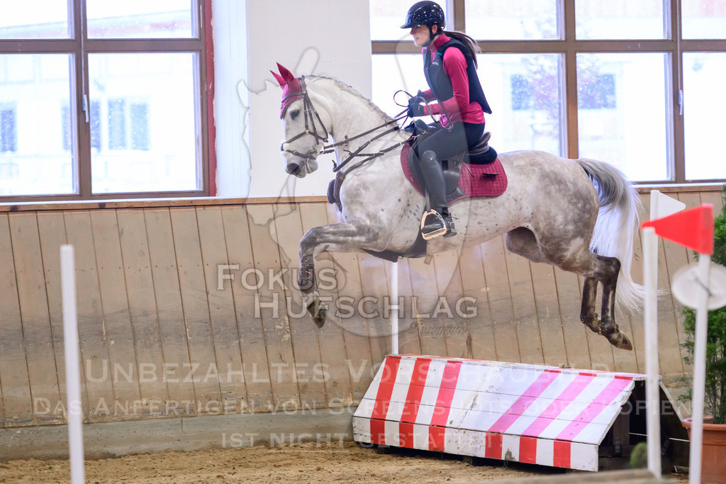 29032026-Schwaiganger-Prfg01-560 | Fokus Hufschlag Fotografie - Realisiert mit Pictrs.com