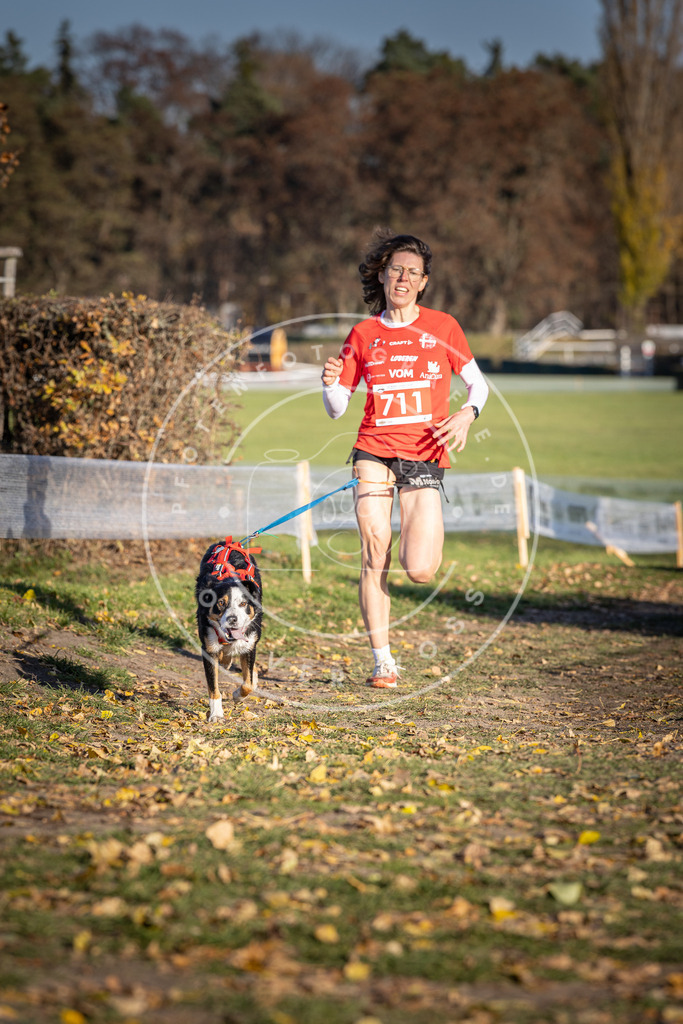 CaniXpix_DV3A1628 | Hundefotografie, Tierfotograf, Pfotenfotografie, Fotoshooting Hund, Hunde Portrait, Hundesport, Hundeportraits, Heideshooting, Hunde, Sportfotograf, Hundefotograf, Turnierhundsport, THS,  - Realisiert mit Pictrs.com