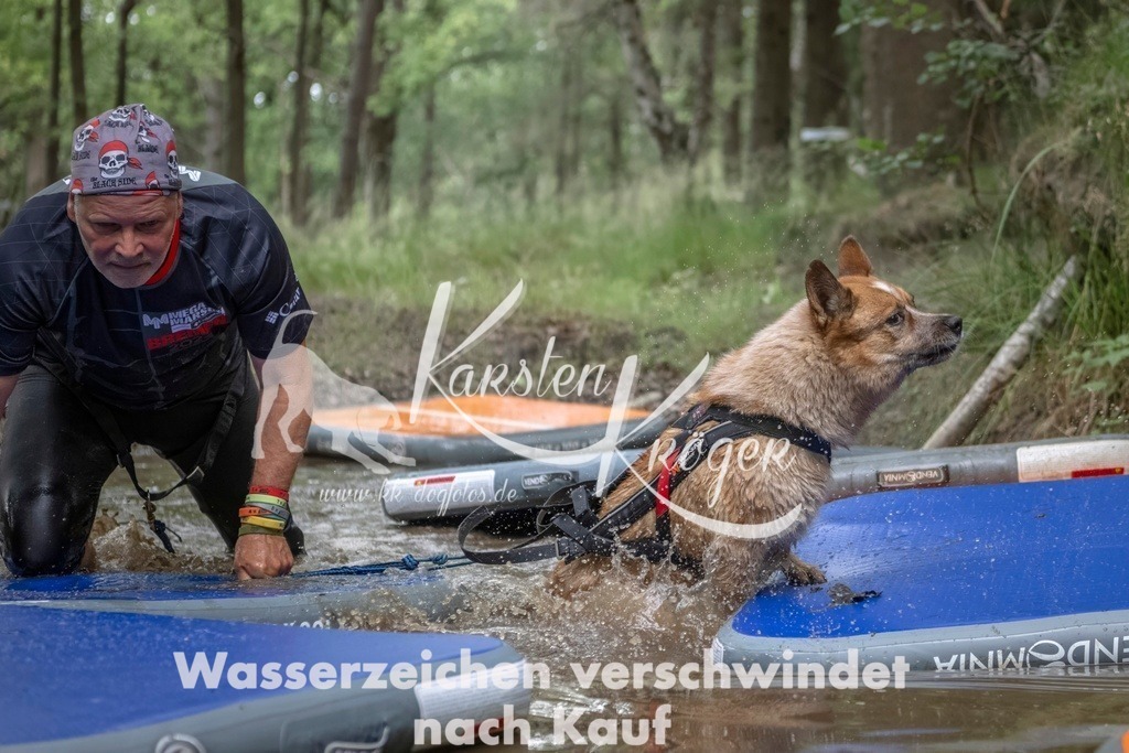 0854_ZZ99876T | kk-dogfotos