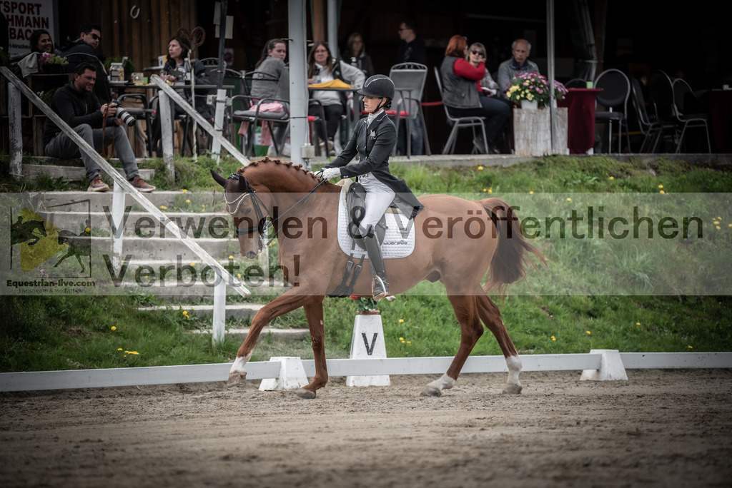 DSC_3083 | equestrian-live-com
