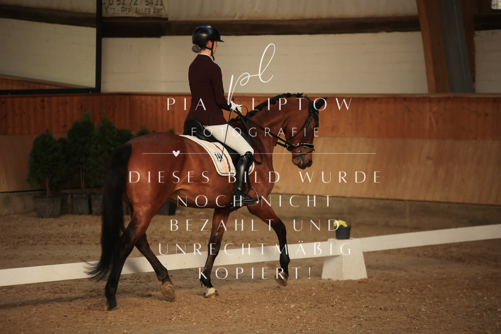 IMGT3581 | pl-fotografie