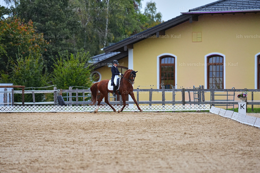 8_1-223-Klasse S_  -Marixx-4283 | working equitationturnier fotograf videograf stoibphotography marixx film working equitation deutschland reitsport turnierfotografie eventfotografie equestrian events