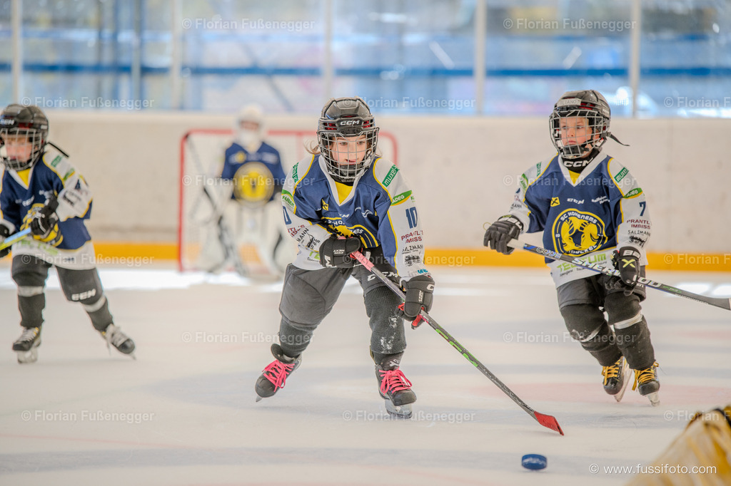 DSC_1148 | "Fussifoto.com – Ihr Ansprechpartner für hochwertige Fotografie! Entdecken Sie kreative Bilder und professionelle Dienstleistungen. Kontaktieren Sie uns für Ihre Projekte!"