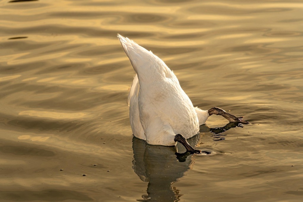 2024_08_01 A7C01814 | bridgeman - Realisiert mit Pictrs.com