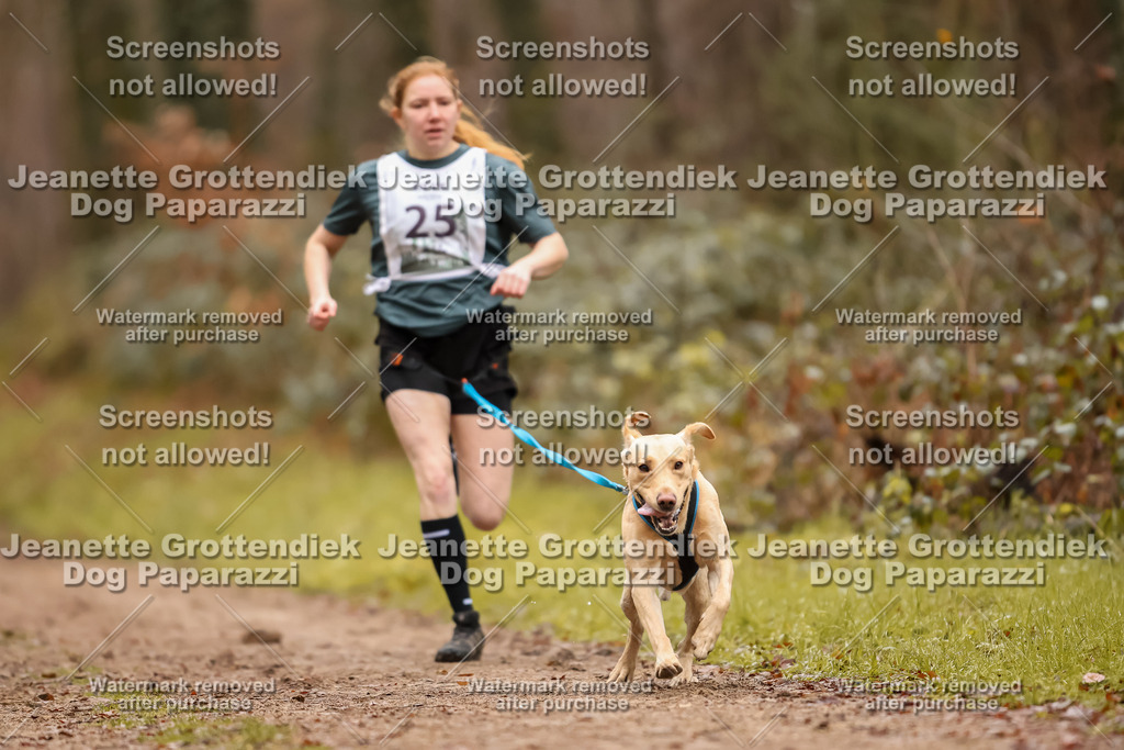Dog Paparazzi - Speedhunter Mannheim  2025-66 | Dog Paparazzi Jeanette Grottendiek Fotografie & Videografie