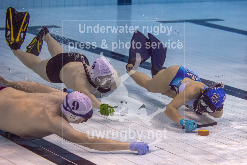 Unterwasser-Hockey: Rückrunde Liga 2023/2024 und Kür des Deutschen Meisters 2024. | UWH München 2 in blau gegen  die Spielvereinigung Hannover / Elmshorn in weiß. - Realisiert mit Pictrs.com