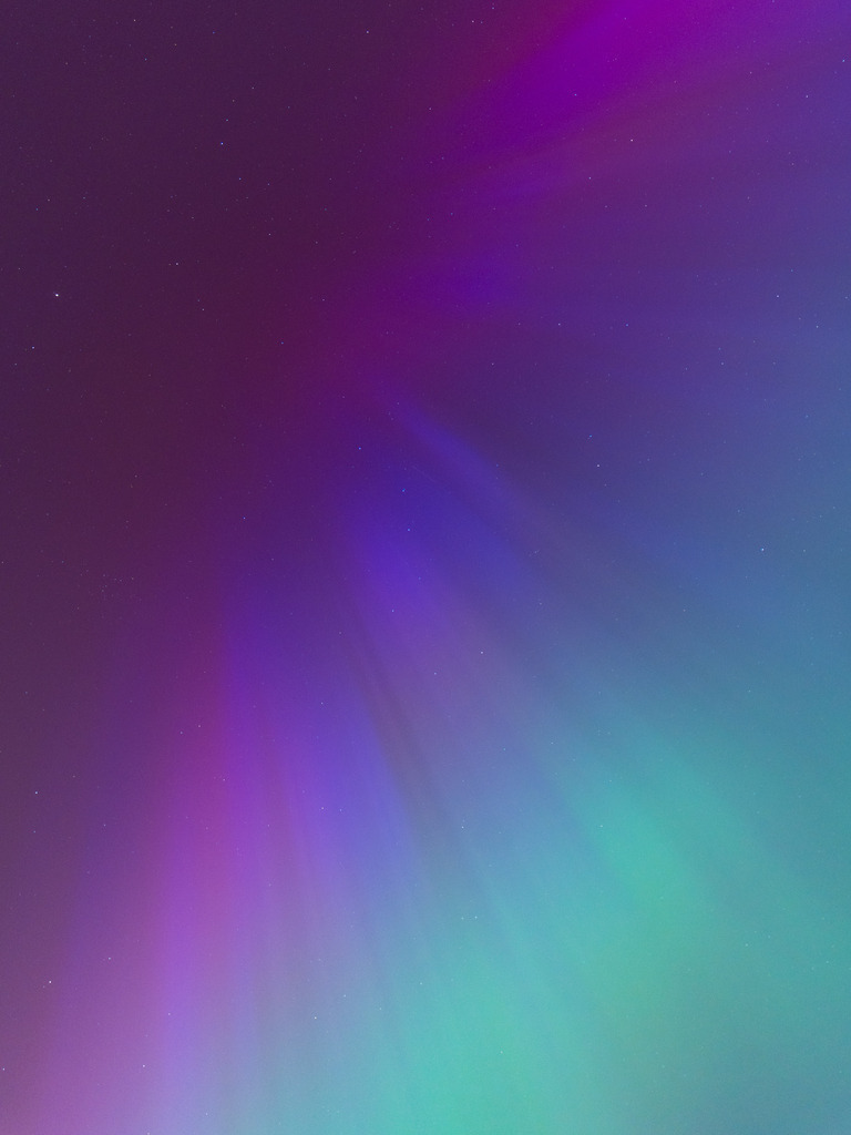 Löwenwall | Entdecke exklusive Fotokunst aus Braunschweig: Bildband, Leinwände, Postkarten, Kalender, digitale Downloads & Bildlizenzen. Jetzt im offiziellen Beautiful Braunschweig Shop! - Realisiert mit Pictrs.com