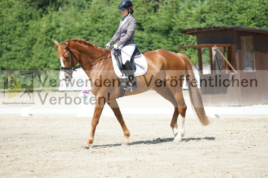 DSC01592 | equestrian-live-com