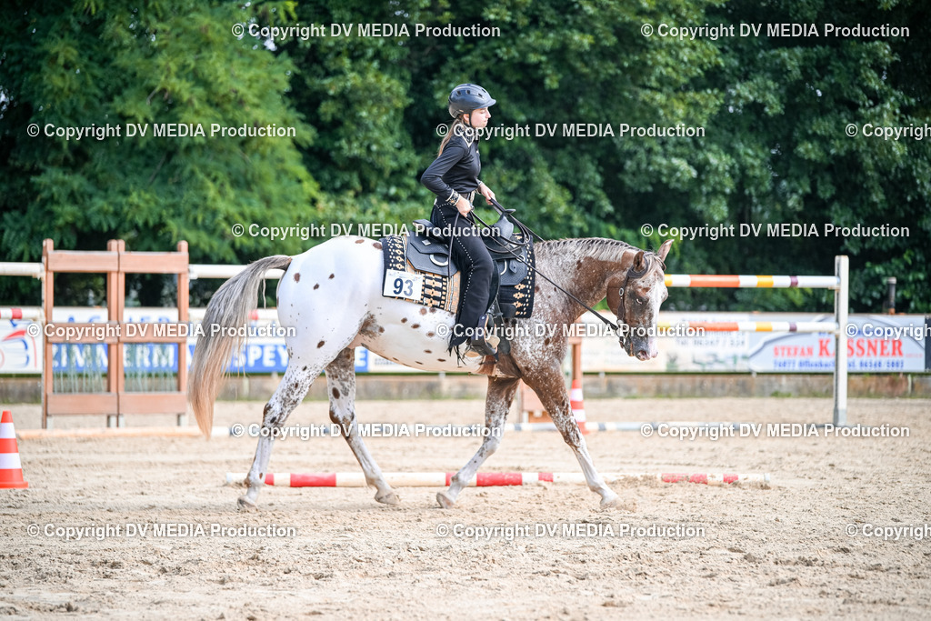 ZS2_3537 | dv-media-shop - Realisiert mit Pictrs.com