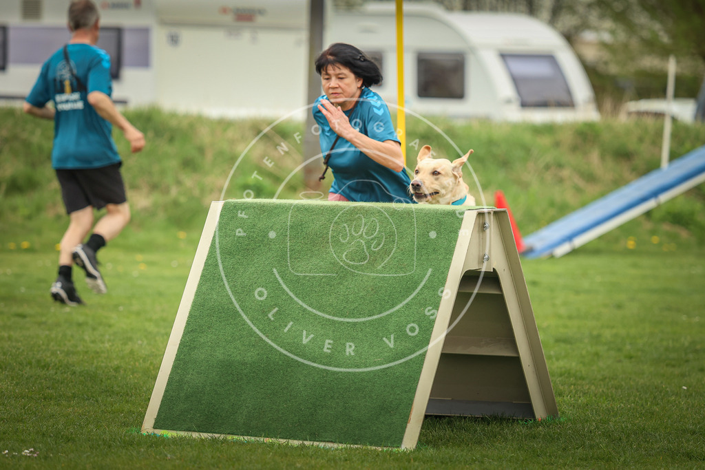 Pfotenfotografie_0L8A0666 | Hundefotografie, Tierfotograf, Pfotenfotografie, Fotoshooting Hund, Hunde Portrait, Hundesport, Hundeportraits, Heideshooting, Hunde, Sportfotograf, Hundefotograf, Turnierhundsport, THS,  - Realisiert mit Pictrs.com