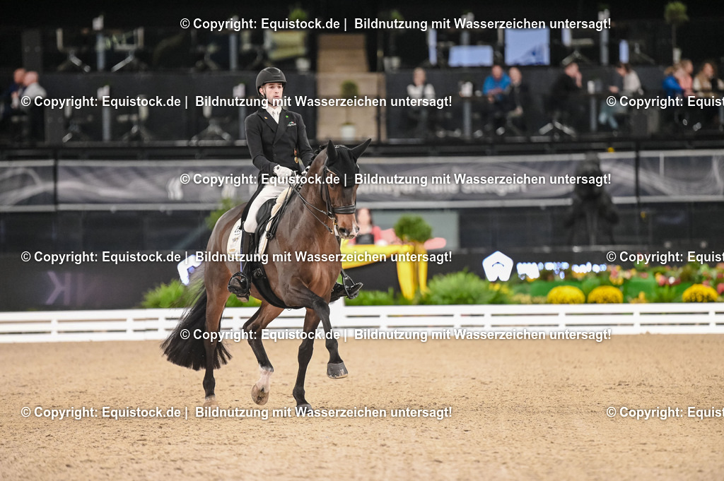 20251112_Dressur_iWest_TOMSPIC_01820182 | Foto: Thomas Hartig