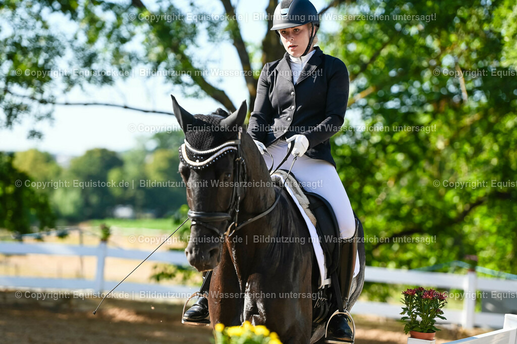 20230715_06_Dressurpferdeprfg. Kl.A_0099 | equistock