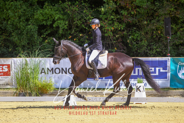 DKP41988 | Turniersportfotografie; Pferdefotografie; Dressurfotografie