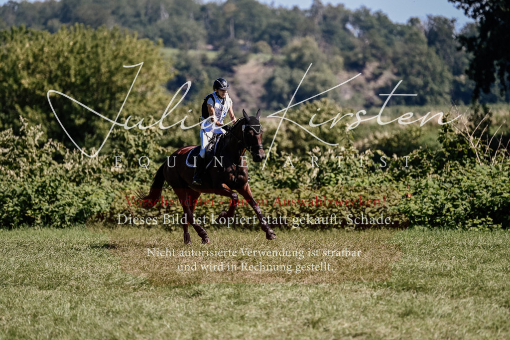 DSC_1759 | Pferde- und Turnierfotografie in Westsachsen. Pferdeportraits, Auftragszeichnungen und intuitive Kunst.